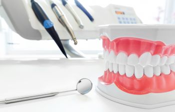 Dental model and dental tools